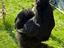 Immagine 2