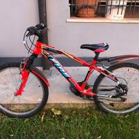 Bici da 24”