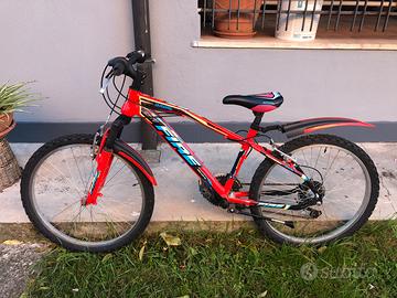 Bici da 24”