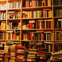 Lotto Blocco Stock 100 Libri Usati 