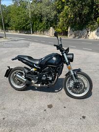 Benelli leoncino 500 trail 2024