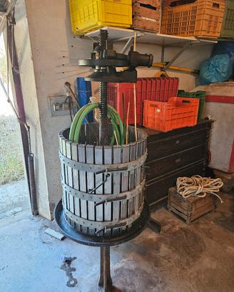 Torchio