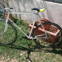 Bici Uomo