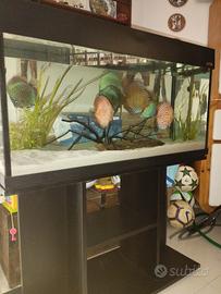 Acquario Wawe 200 lt con mobile e filtro esterno. 
