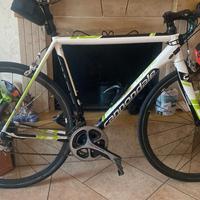 Cannondale 