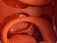 Immagine 3