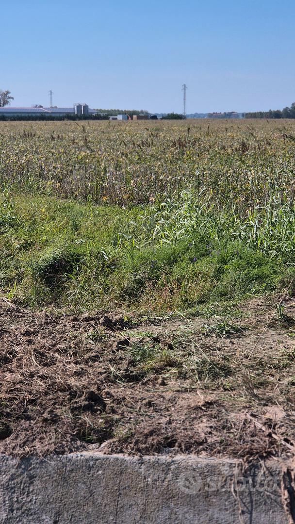 terreno agricolo - Vista 4