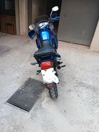 motociclo 