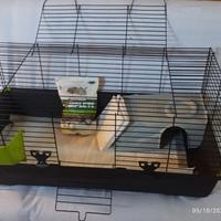 gabbia per conigli nuova 