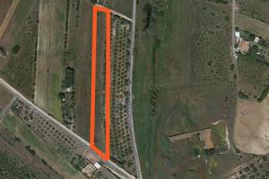 Terreno ad Uso Agricolo in Località Santa Rosa