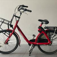 Bicicletta olandese gazelle