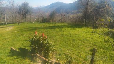 piazzola  tenda  campeggio libero terreno privato