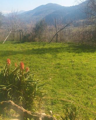 piazzola  tenda  campeggio libero terreno privato