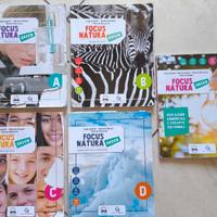 Focus Natura Green