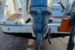 Motore fuoribordo Yamaha 100 DETL