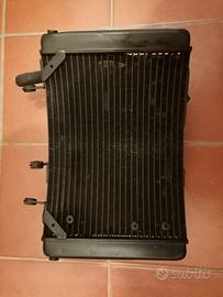 Radiatore mv agusta rivale brutale f3 f4