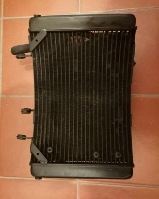 Radiatore mv agusta rivale brutale f3 f4