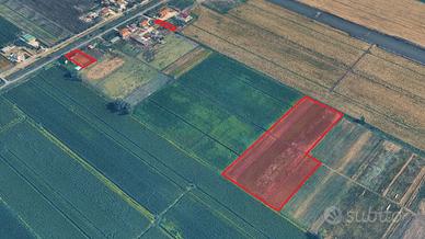 Terreno agricolo 2 ettari con pozzo