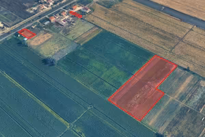 Terreno agricolo 2 ettari con pozzo