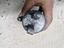 Immagine 19