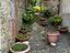 Immagine 28