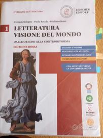 Letteratura visione del mondo