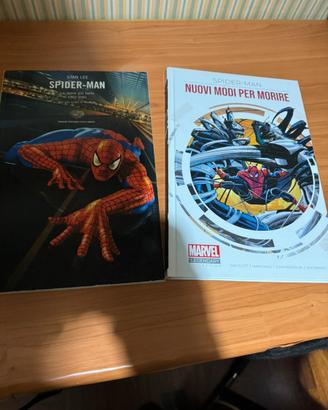 Spiderman lotto 2 pezzi