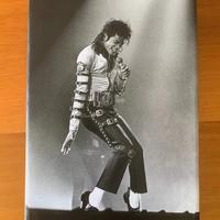 Quadro di Michael Jackson