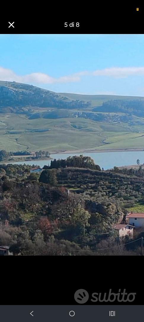 Terreno uliveto con casetta 15 Mila TRATTABILI - Vista 5