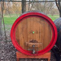 Botte in legno vino
