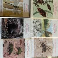 enciclopedia fauna d'italia edizioni calderini