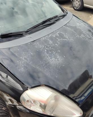 Cofano FIAT GRANDE PUNTO del 2006