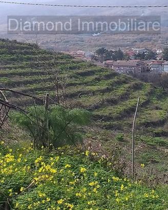 Proprietà agricola con casolare a Linguaglossa