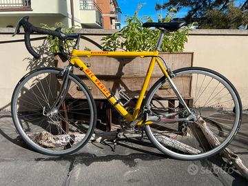 Bici con gruppo campagnolo