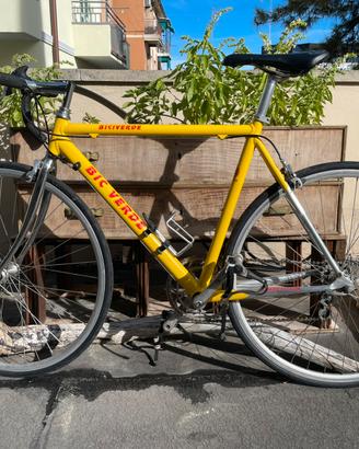 Bici con gruppo campagnolo