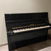 piano forte c.reimann