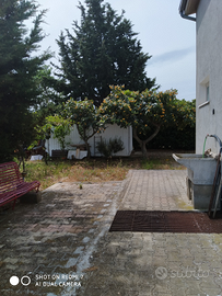 Casetta appoggio più terreno