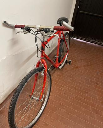 Bici mtb 26 colnago