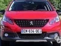 Musate porte Peugeot 2008 2017