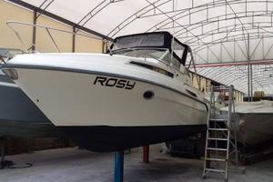 Barca Cranchi clipper cruiser