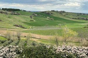 Terreno agricolo seminativo e ulivi