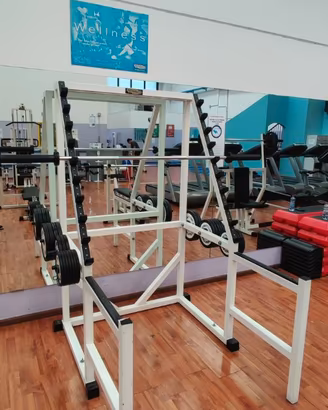 Attrezzi Technogym Panatta palestra