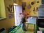 Immagine 15