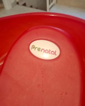 Vaschetta bagno Prenatal