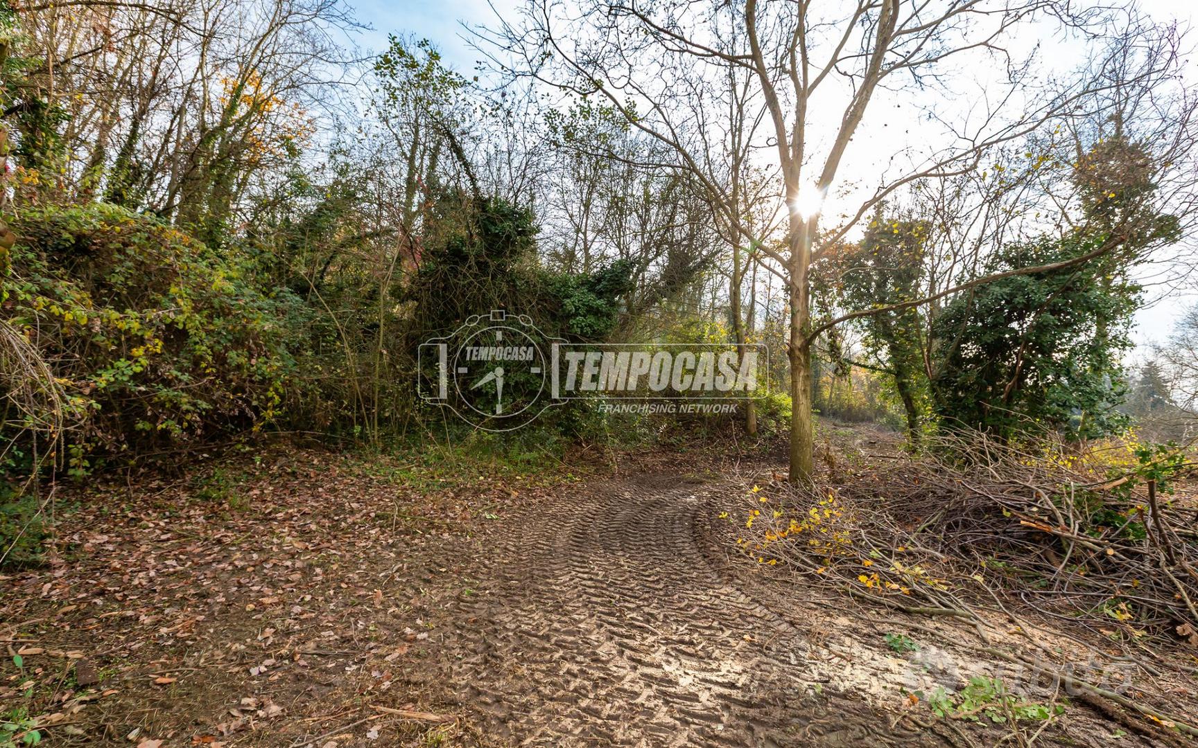 CASTAGNETO PO CASCINA CON TRAVATA E 9.000 MQ DI TE - Vista 4