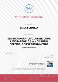 Matematica online: DSA e discalculia