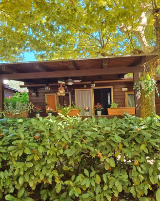 Bungalow