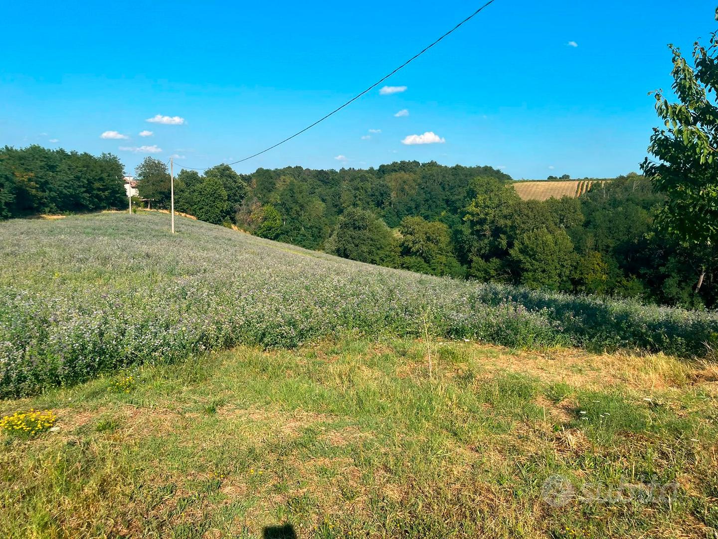 Casale con 4,5 Ettari Carpaneto Piacentino Collina - Vista 3