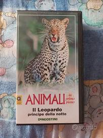 Videocassetta VHS Documentario su Leopardo