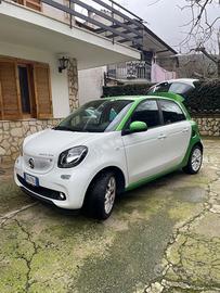 Smart forfour ED elettrica